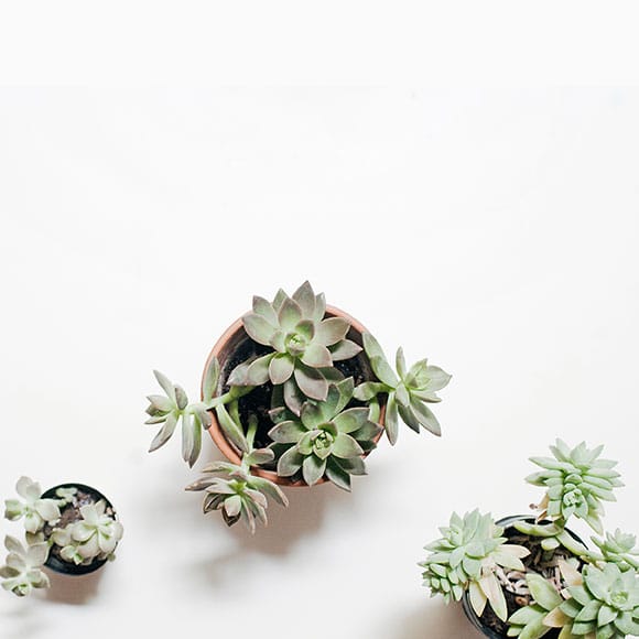 영상으로 브랜드의 경쟁력을 높이세요.